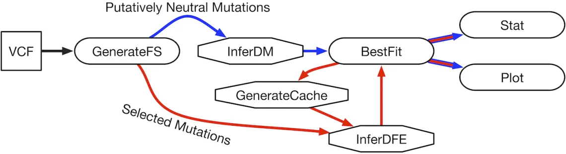 dadi-cli workflows