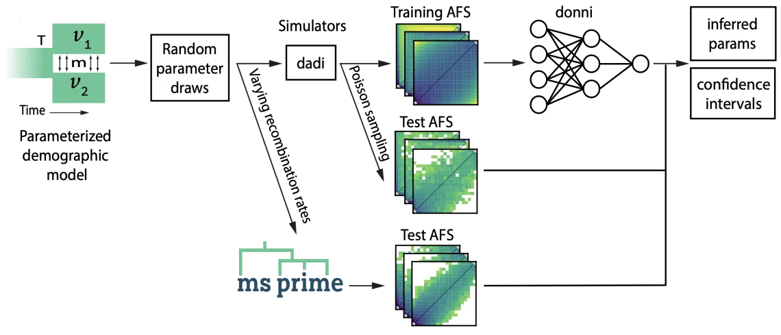 donni workflow