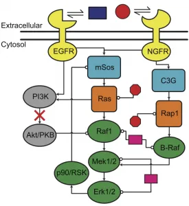 pc12-network