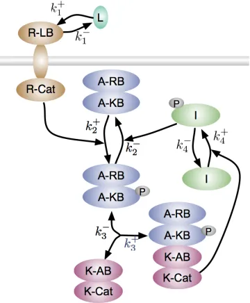 NetworkParams